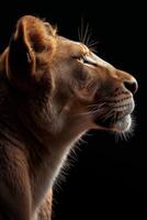 ai gerado retrato do uma leoa dentro perfil em uma Preto fundo foto
