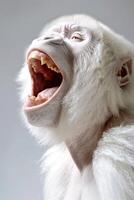 ai gerado uma branco gritando macaco em destaque em uma branco fundo foto