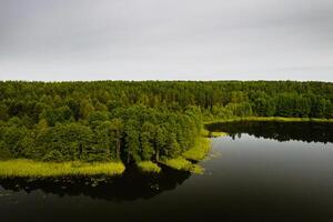 topo Visão do bolta lago dentro a floresta dentro a braslav lagos nacional parque às alvorecer, a a maioria lindo lugares dentro bielorrússia.an ilha dentro a lago.belarus. foto