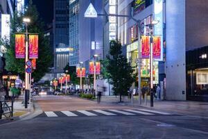 uma noite paisagem urbana do a multidão às a néon Cidade dentro shinjuku Tóquio foto