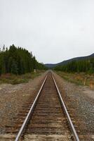 trem faixas cruzando a rochoso montanhas do Canadá foto