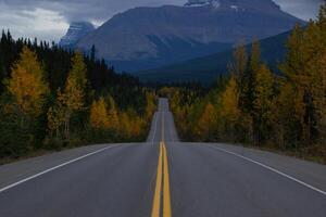 lindo em linha reta estrada dentro Canadá dentro outono. foto