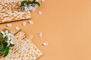 tradicional judaico feriado páscoa. Primavera flores e matzah pão foto