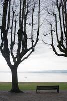 esvaziar parque ao longo a litoral dentro inverno. Banco com não pessoas foto