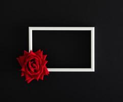 vermelho rosa em Preto fundo com branco quadro, Armação cópia de espaço. mínimo conceito e simplicidade. na moda Primavera e verão ideia. flor estético fundo. natureza plano deitar. foto