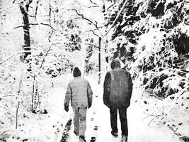 Preto e branco aguarela estilo do dois pessoas caminhando dentro a madeiras durante uma queda de neve dentro a norte do Escandinávia foto