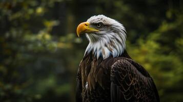 ai gerado uma orgulhoso americano Águia senta em uma ramo. ai gerado foto