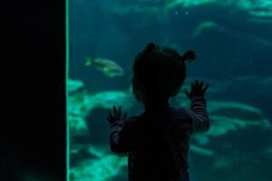 pequeno menina assistindo peixes dentro uma ampla aquário dentro a Oceanópolis, peito, França 31 pode 2108 foto