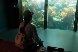 peito, França 31 pode 2018 mãe e dele pequeno filha estão olhando às mar peixe e animais dentro a aquário do a Oceanópolis foto