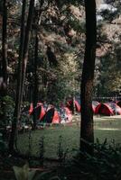 sentul, bogor, Indonésia, 2023 - explorar sentul bogor espetacular cachoeiras e floresta trilhas. uma caminhada aventura com amigos dentro Gunung pancar. deslumbrante fotografia - Maravilhoso Indonésia foto