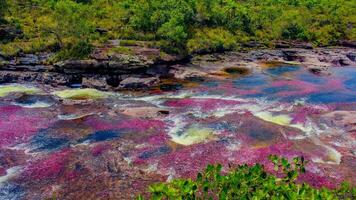 canoa cristais é uma rio dentro Colômbia este é localizado dentro a serra de la macarena, dentro a departamento do meta. isto é considerado de muitos Como a a maioria lindo rio dentro a mundo foto