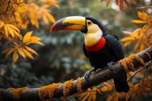 ai gerado tucano em ramo dentro Sombrio e laranja tons foto