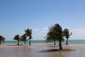 lindo dia Visão do real comissão de praia dentro Ianbu, saudita arábia. foto