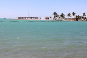 lindo dia Visão do real comissão de praia dentro Ianbu, saudita arábia. foto