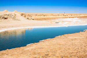 chott el Djerid, sal lago dentro Tunísia foto