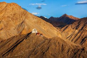 tsemo vitória forte, namgyal tsemo gompa. leh, ladakh, Jammu a foto