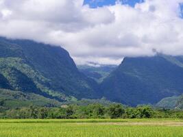 lindo cênico Visão do arroz Campos com céu e montanha fundo. a agrícola campo. espaço para texto. conceito do natureza e arroz plantação foto