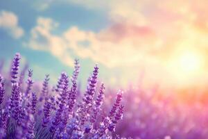 ai gerado lavanda campo com verão azul céu fechar acima França retro tonificado rede Bwnner formato lavanda foto