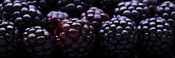 ai gerado delicioso marionberries fundo bandeira - fresco fruta para embalagem e Fazenda marketing foto