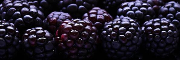 ai gerado delicioso, roliço marionberries criando uma de dar água na boca fundo para seu deslumbrante bandeira Projeto foto