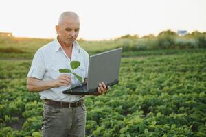 agricultor dentro arquivado segurando tábua dentro dele mãos e examinando soja corporação. foto