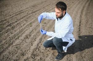 agrônomo estudando amostras do solo dentro campo foto