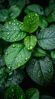 ai gerado lustroso encharcado de chuva folhas dentro uma floresta foto