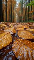 ai gerado lustroso encharcado de chuva folhas dentro uma floresta foto