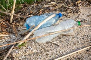 plástico garrafa em a costa do a lago. de Meio Ambiente poluição. plástico desperdício em a de praia. foto