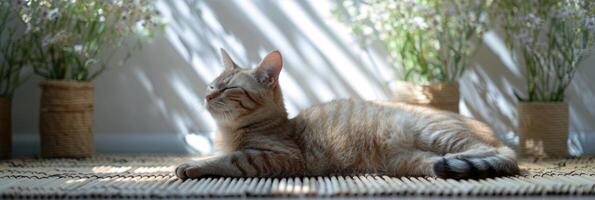 ai gerado fofa relaxado gato deitado em legal esteira dentro quente dia , branco parede fundo, verão aquecer. ai gerado foto