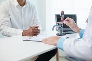 médicos estão aconselhamento próstata Câncer pacientes e usando modelo do a pênis para providenciar a exemplo para próstata Câncer pacientes sobre futuro sintomas e tratamentos. próstata Câncer tratamento conceitos foto