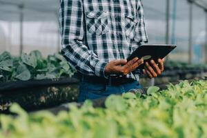 orgânico Fazenda ,trabalhador teste e coletar meio Ambiente dados a partir de bok choy orgânico vegetal às estufa Fazenda jardim. foto