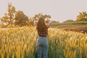 jovem bonita mulher dentro vermelho verão vestir e Palha chapéu caminhando em amarelo Fazenda campo com maduro dourado trigo desfrutando caloroso tarde. foto