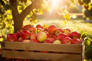ai gerado colheita brilho com fresco maçãs foto