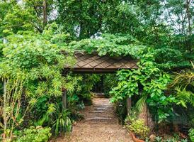 Entrada porta com tropical plantar coberto e caminho foto