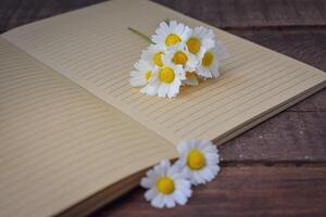 livro e margaridas flor em de madeira fundo foto