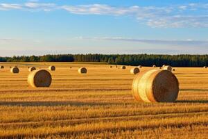 ai gerado sereno feno campo com lindo céu foto