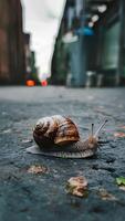 ai gerado Caracol em a pavimento, lento movimento em concreto, urbano animais selvagens vertical Móvel papel de parede foto