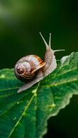 ai gerado Caracol em verde folha sobre fundo, natureza macro fotografia vertical Móvel papel de parede foto