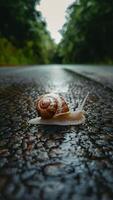 ai gerado pequeno jardim Caracol rastejando em molhado estrada, natureza exploração foto vertical Móvel papel de parede