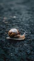 ai gerado sujeito Caracol rastejando em asfalto depois de chuva, lento compassado natureza atividade vertical Móvel papel de parede foto