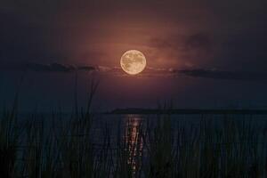 ai gerado lua brilha brilhantemente contra a Sombrio céu, fundição uma místico brilho foto
