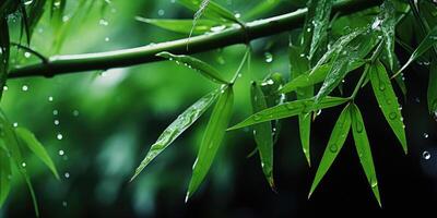 ai gerado jovem galhos do bambu em a folhas do que lá pequeno gotas do chuva. generativo ai foto