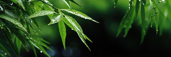 ai gerado horizontal bandeira do bambu galhos com pingos de chuva. Lugar, colocar para texto. generativo ai foto