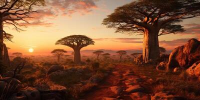ai gerado baobás às pôr do sol. lindo panorama do árvores do tropical África. generativo ai foto