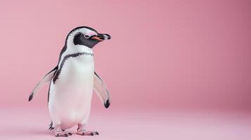 ai gerado uma fofa pinguim em uma pastel Rosa fundo foto