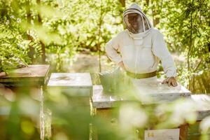 apicultor é examinando dele colmeias dentro floresta. apicultura profissional ocupação. foto