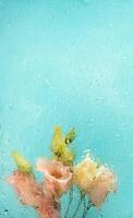 desfocado Visão através molhado vidro para eustoma flores do na moda pêssego cor em turquesa. vertical cartão foto