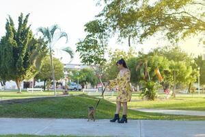 mulher caminhando com dela animal dentro uma público jardim às pôr do sol. animal amante. foto