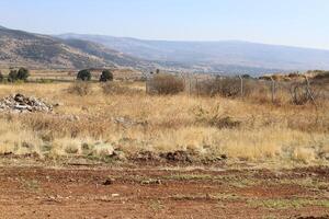 paisagem nas montanhas no norte de israel. foto